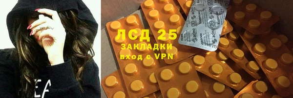 ГАЛЛЮЦИНОГЕННЫЕ ГРИБЫ Абаза