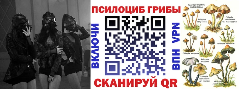 Галлюциногенные грибы прущие грибы  Инта 